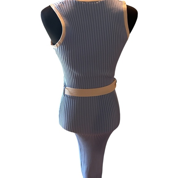 VICI Button Front Ribbed Knit Midi Dress | Size M - Picture 5 of 6